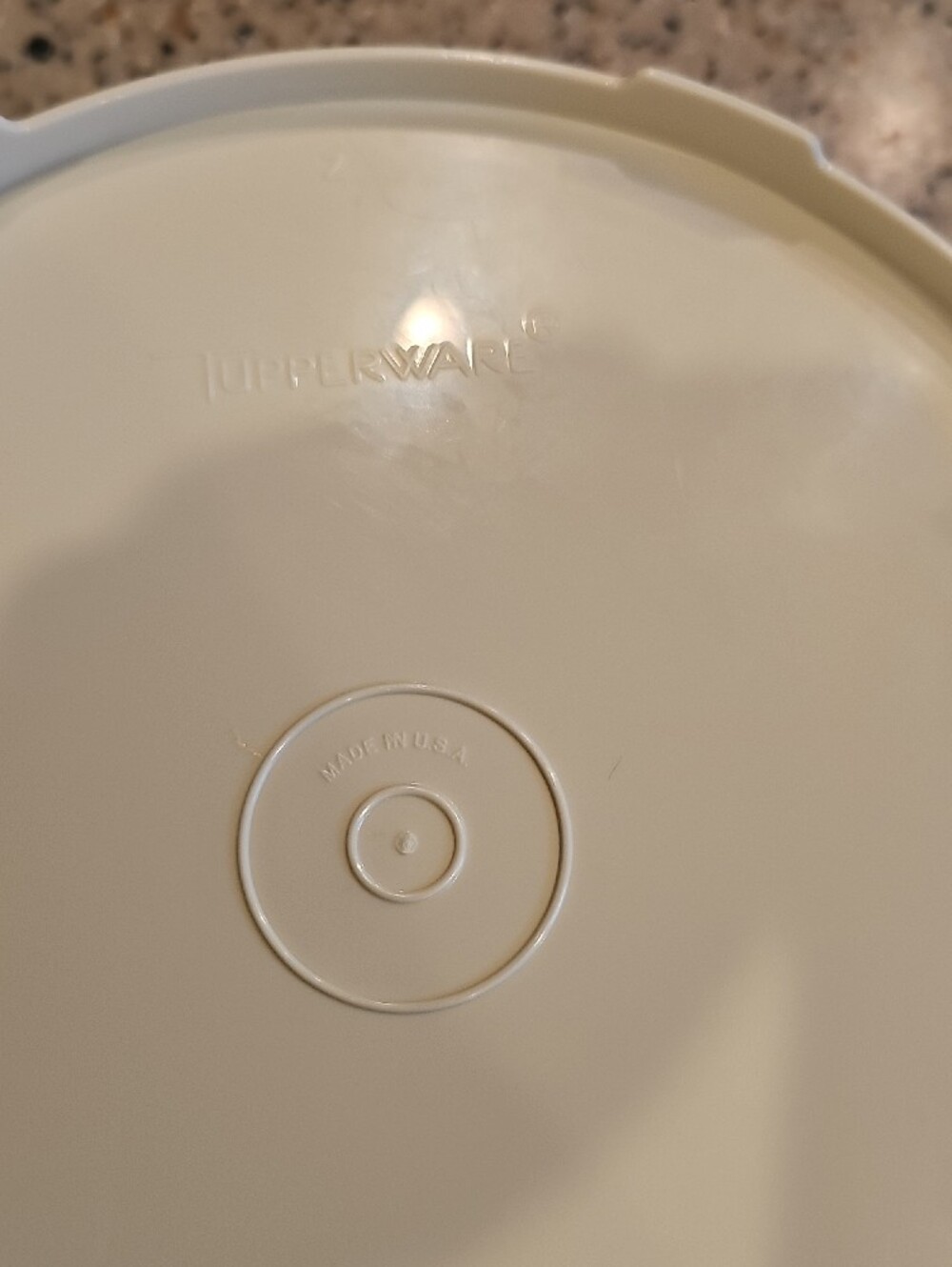 Tupperware Container W/ Lid - Picture 6 of 8